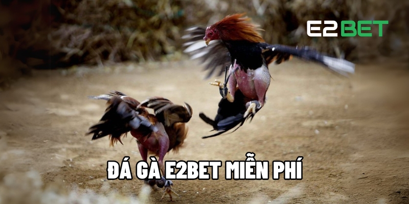Đá gà E2BET miễn phí