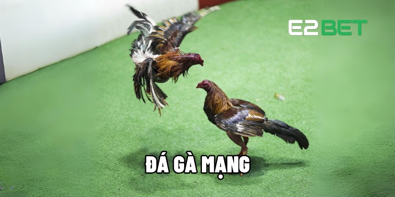 da ga mang 1