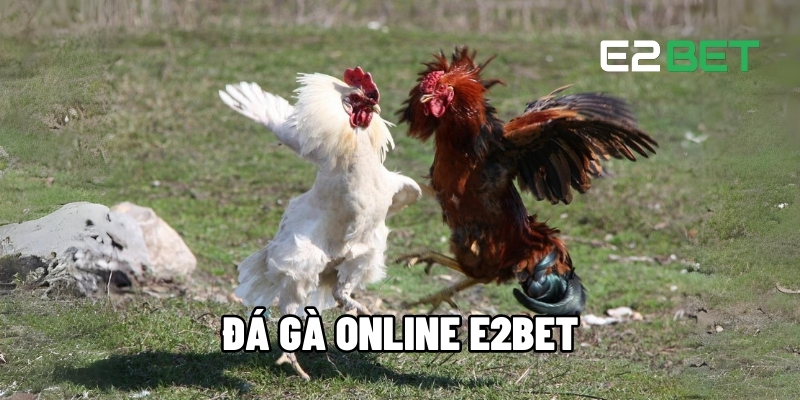 Đá Gà Online E2BET - Top 1 Game Cá Cược Đỉnh Cao Hiện Nay 1 Đá gà online E2BET