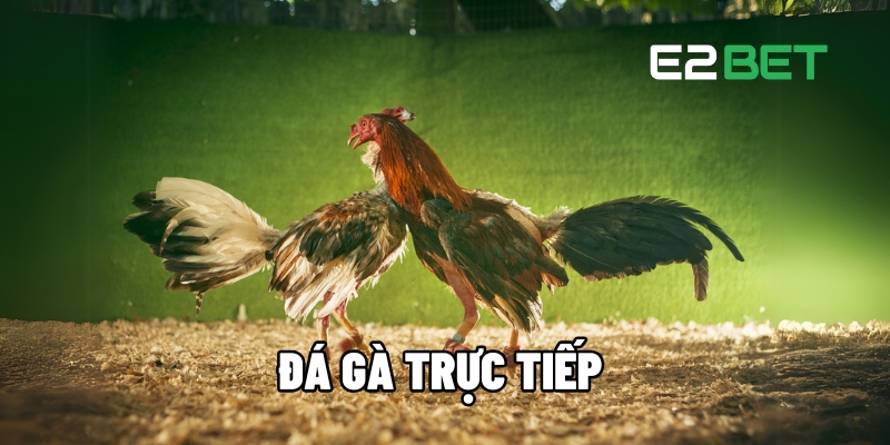 da ga truc tiep 1
